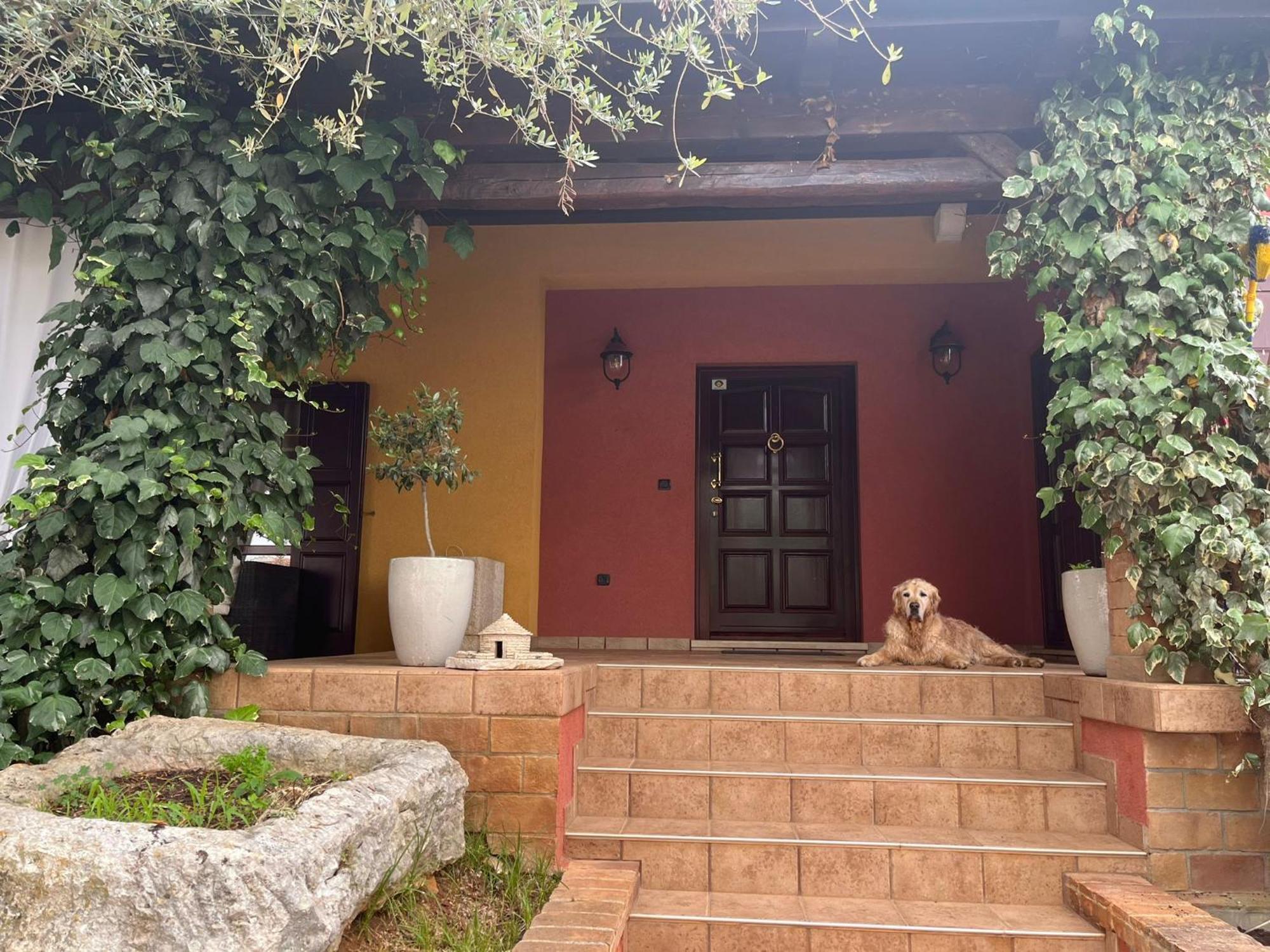 New!!! La Magrina - Bed&Breakfast Vrsar Extérieur photo